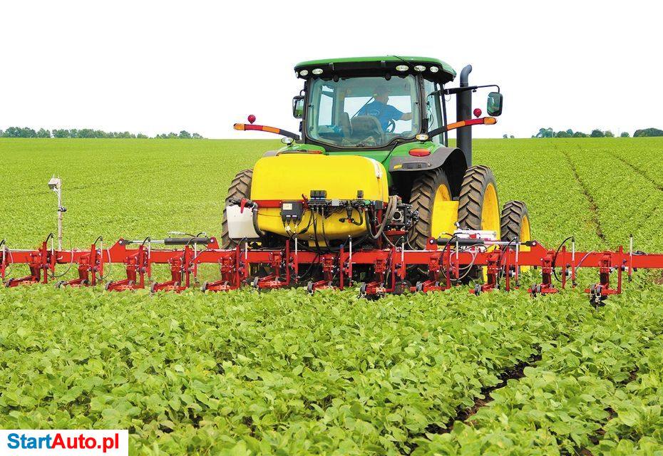 Lozova Santim- 8 Lozova