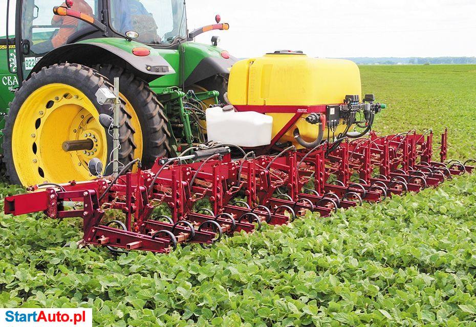 Lozova Santim- 8 Lozova