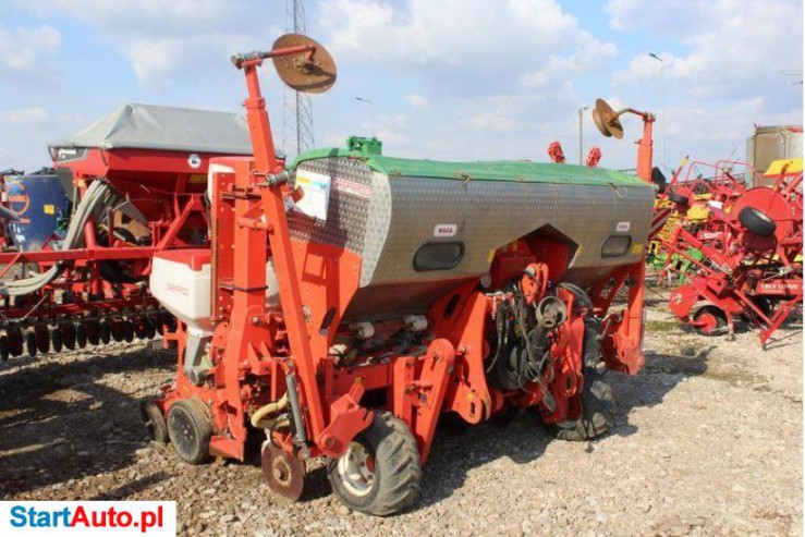 Maschio