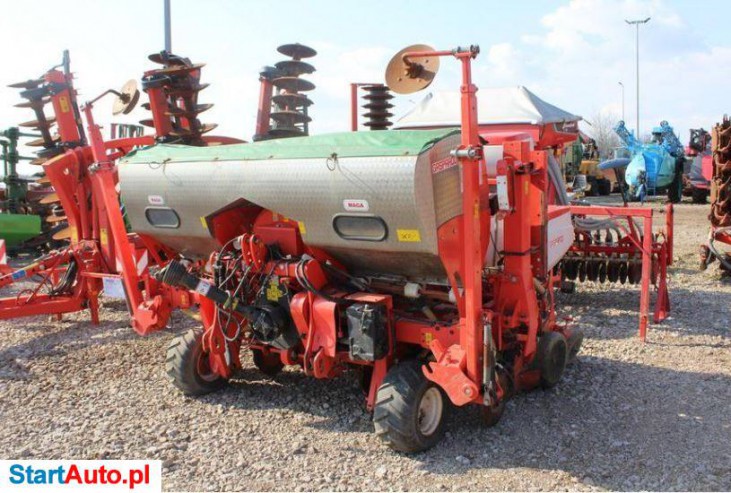 Maschio