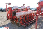 Maschio