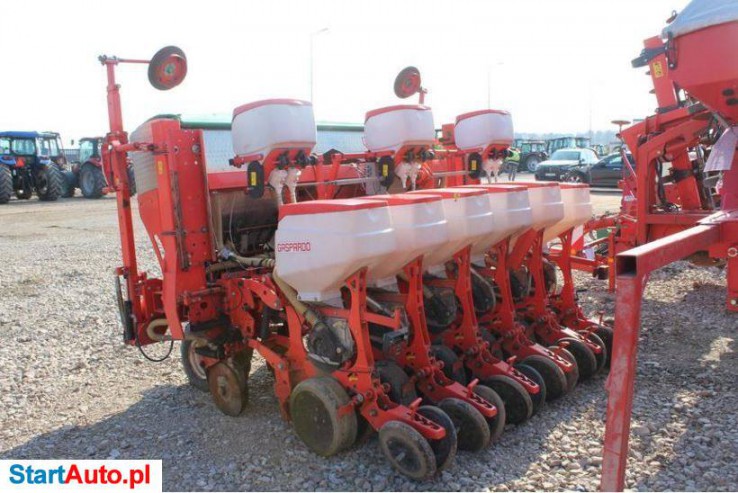 Maschio