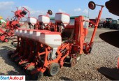 Maschio