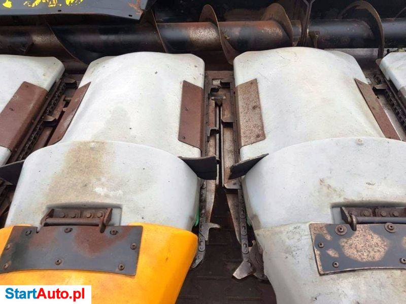 Grecav Dominoni Capello