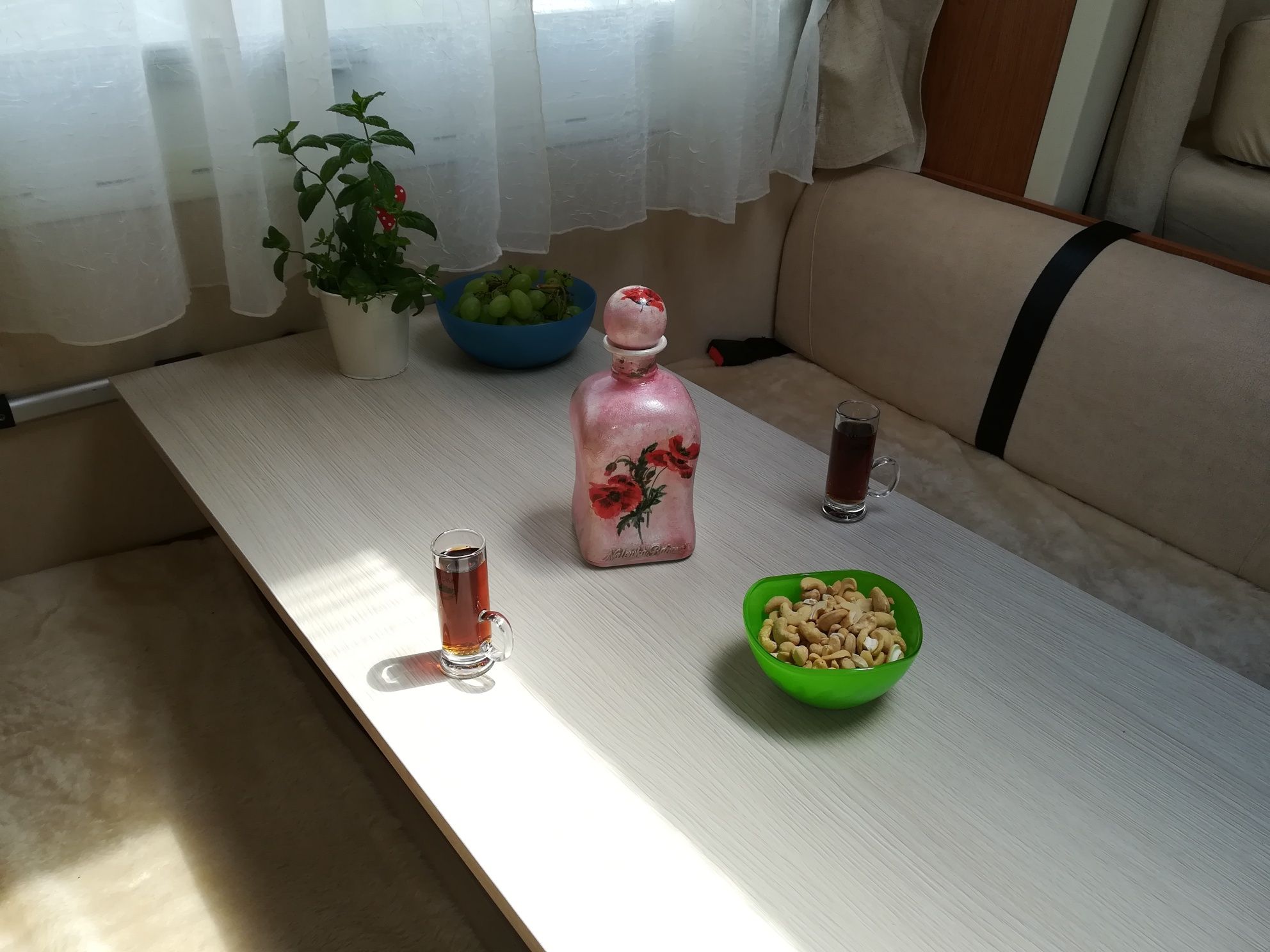 Kamper RENIA wynajem 5 osobowy