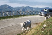 Wynajem kampera Mercedes Marco Polo WOLNY WEEKEND MAJOWY FastCamper.eu