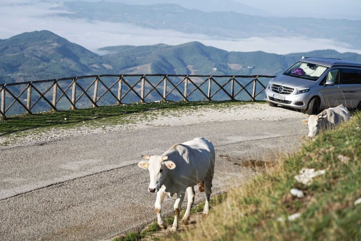 Wynajem kampera Mercedes Marco Polo WOLNY WEEKEND MAJOWY FastCamper.eu