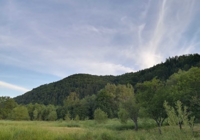 images3968x2976