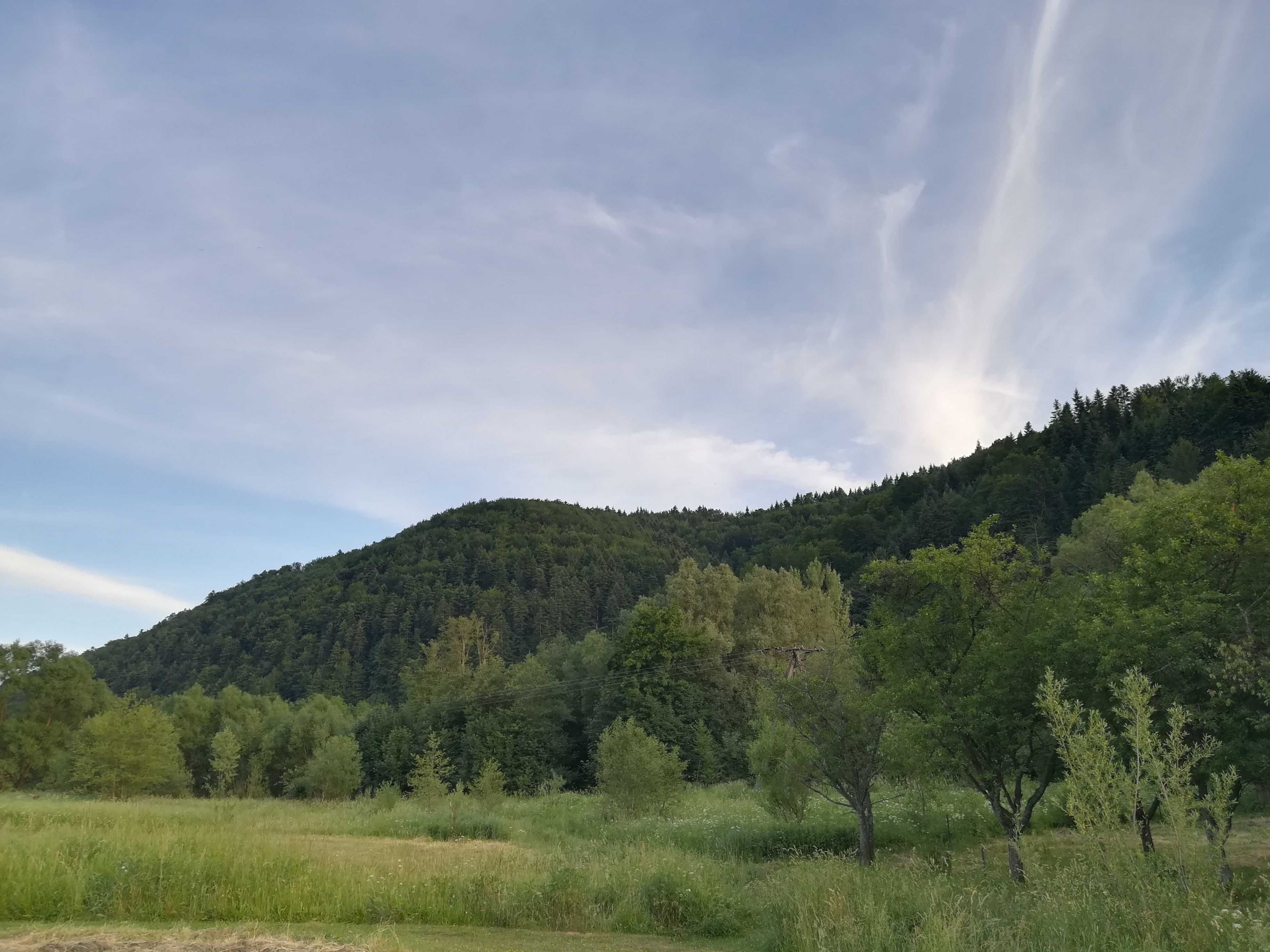 Działka rekreacyjna wynajem kamper namiot