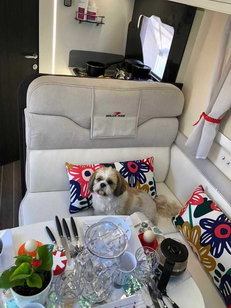 Wynajem całorocznych kamperów-AUTOMAT