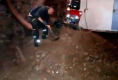 Nowa Minikoparka Elektryczna Springer-E