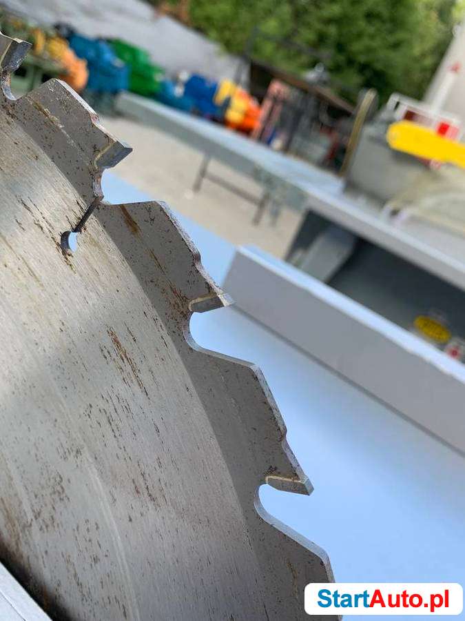 Piła stołowa – krajzega AVOLA do cięcia drewna drzewa