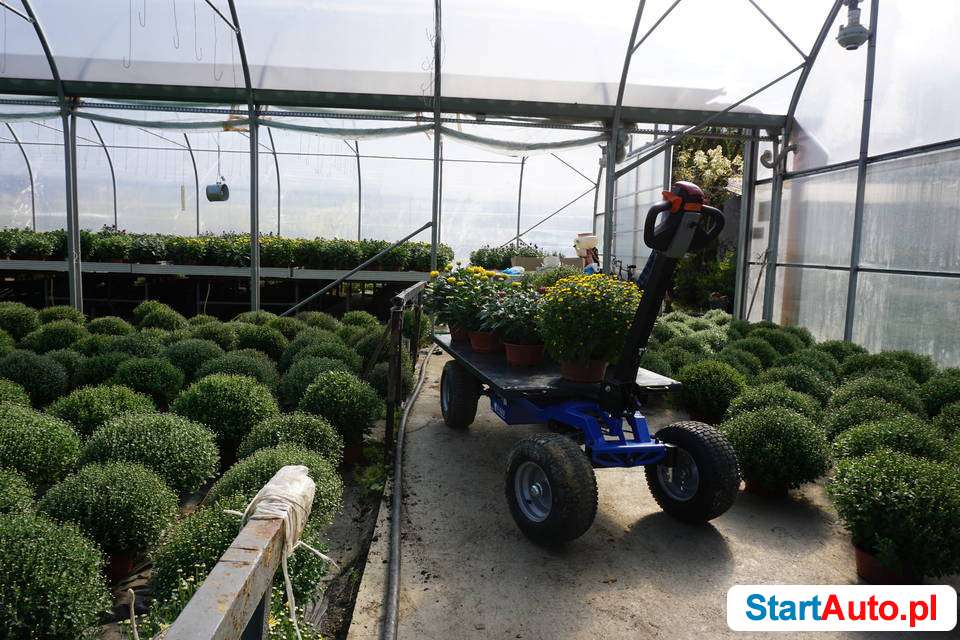 Transporter z napędem elektrycznym udźwig 600 kg